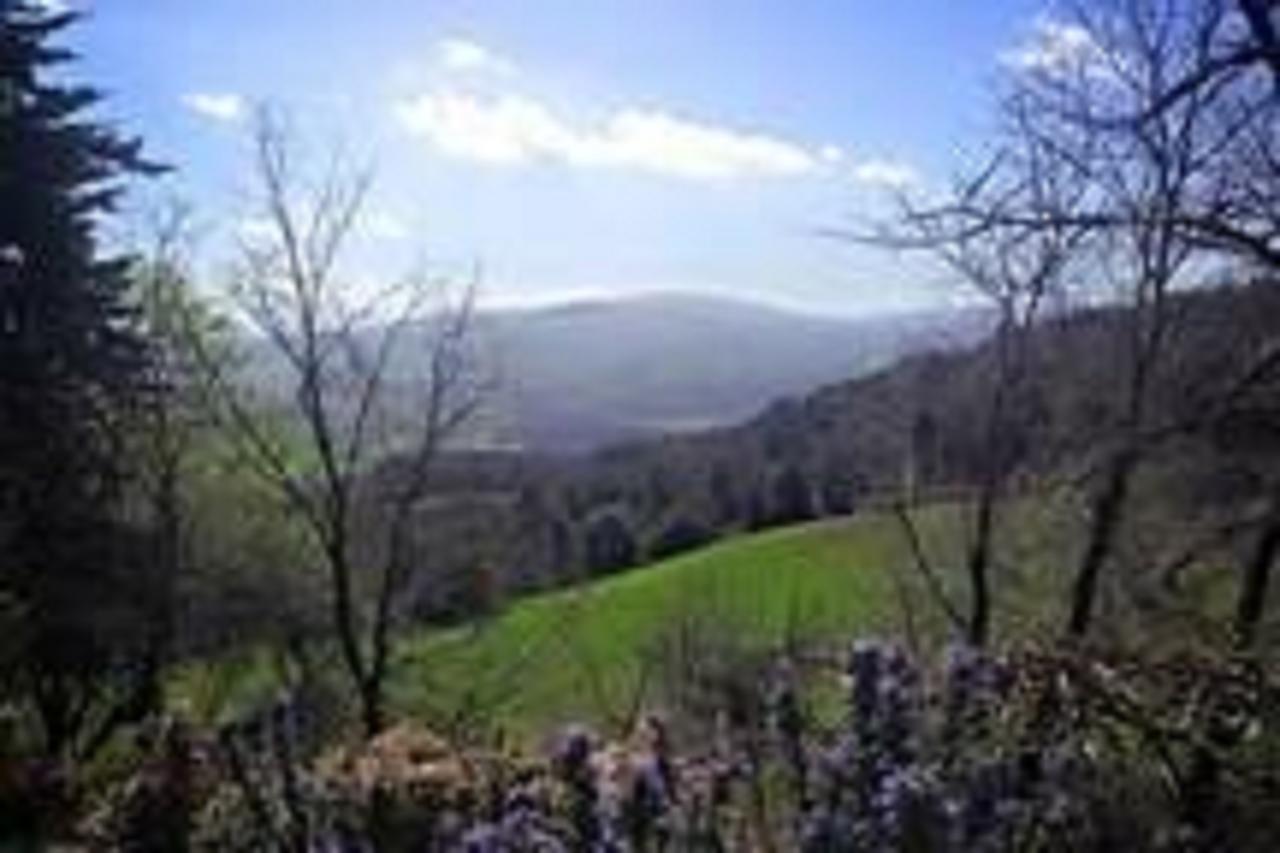 Podere Cerreto Казоле-д'Ельса Екстер'єр фото